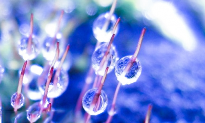 2020秋分节气祝福语大全简短