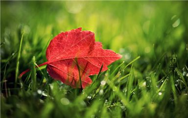 2020家长教师节感谢老师的祝福贺词精选