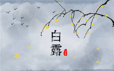 白露节气温馨祝福语80句精选