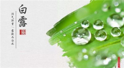 2020白露节气经典微信祝福语大全