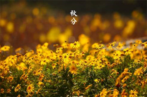 1599460636314025.jpg 秋分节气发朋友圈的唯美祝福说说80句精选