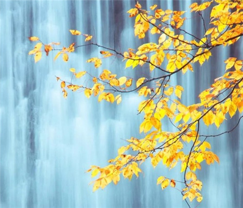 1599463127879644.jpg {0D871DB3-339C-40C9-8724-15FDF79669A7}_20200805142036.jpg