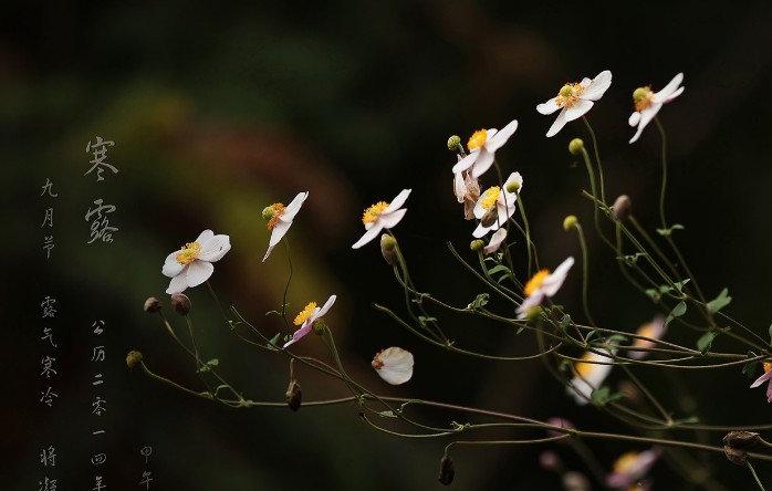 1599637796315020.jpg 1599637796315020.jpg