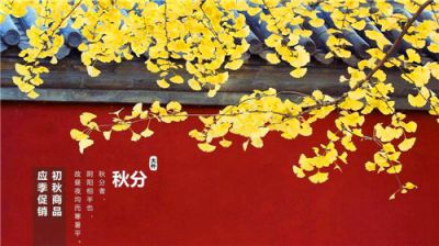 2020秋分节气祝福语短信问候