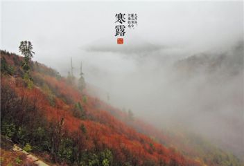 二十四节气寒露祝福寄语