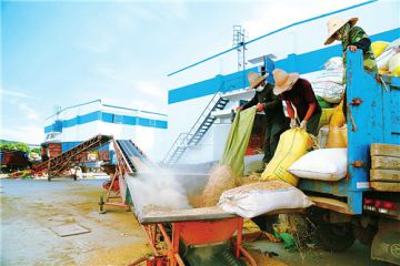 开展10.17扶贫日活动总结5篇