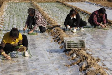 2020开展中国扶贫日主题活动总结【5篇】