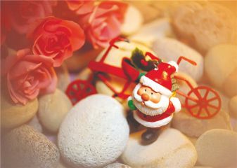 2020圣诞节主题活动方案有哪些