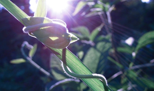 1600326522470783.png 2021元旦祝福语简短创意【80句】