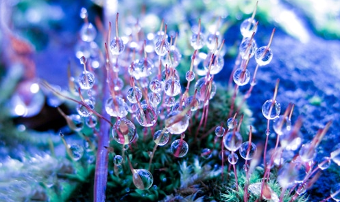 2021关于元旦的祝福语大全段