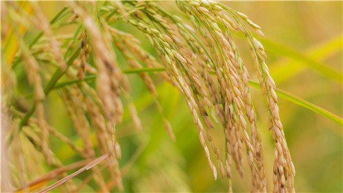 1600327926905835.jpg 60567921c9084822b9810d4f3226d023.jpg