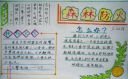 森林防火手抄报模板设计