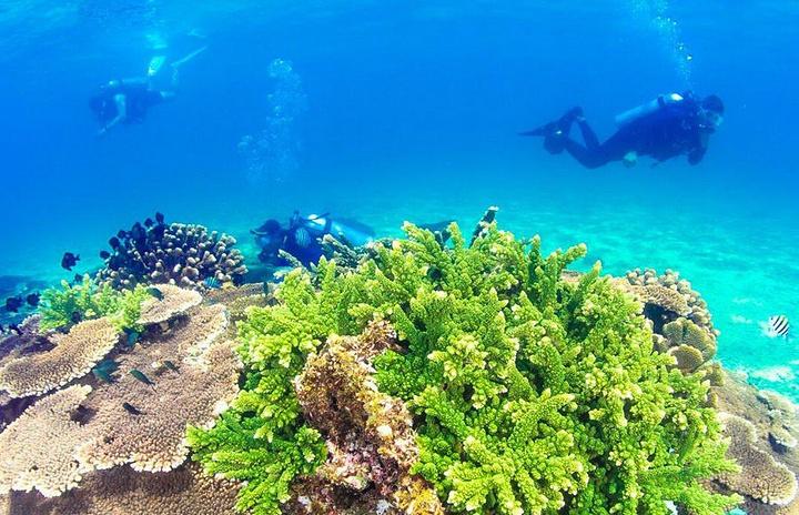 1610616325821270.jpg src=http-%2F%2Fimg1.qunarzz.com%2Ftravel%2Fd2%2F1801%2F58%2F13056a3409f1c8b5.jpg_r_720x480x95_0742cce1.jpg&refer=http-%2F%2Fimg1.qunarzz.jpg