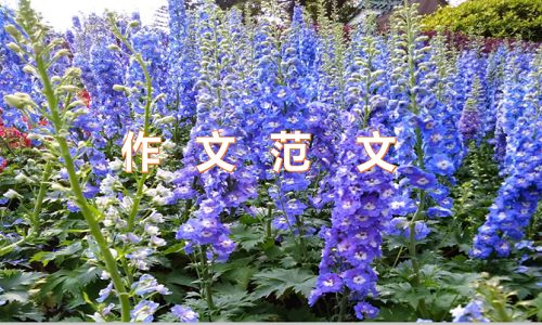 人与自然和谐相处主题作文10篇 人与自然和谐相处主题作文10篇