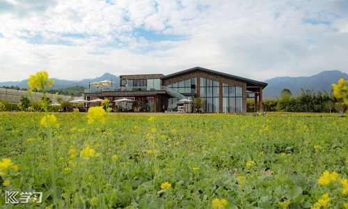 世界爱眼日主题宣传活动策划方案五篇 世界爱眼日主题宣传活动策划方案五篇