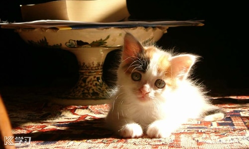 2021年安徽中小学暑假放假时间