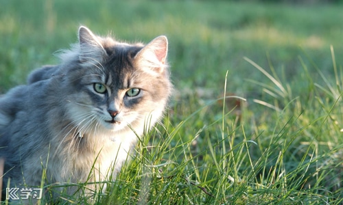2021年兰州中小学暑假放假时间 2021年兰州中小学暑假放假时间