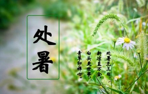 处暑节气的含义是什么意思 处暑节气的含义是什么意思