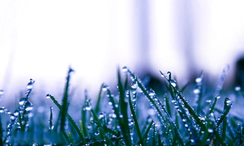 秋雨绵绵一场秋雨一场寒朋友圈说说