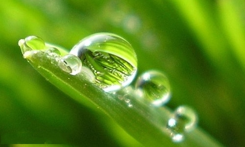 教师节文案 教师节文案