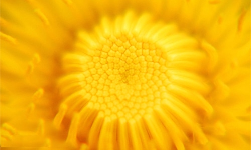 感恩老师最暖心文案