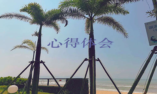 消防演练心得体会500字 消防演练心得体会500字