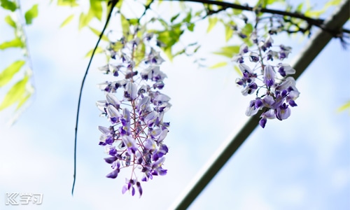 最后一天发朋友圈文案说说 2022最后一天发朋友圈经典文案说说