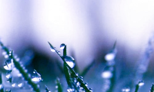 冬天第一场雪伤感朋友圈说说文案