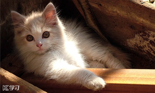 祝自己生日短句 祝自己生日短句