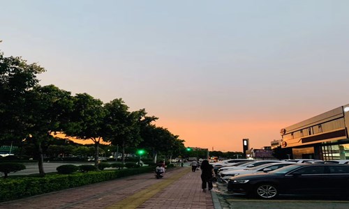 日落即景作文五年级10篇