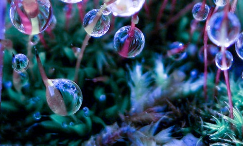 中国民间吃腊八粥的意义 中国民间吃腊八粥的意义