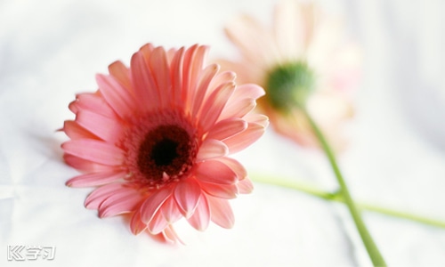 生日低调发朋友圈说说 生日低调发朋友圈说说100句