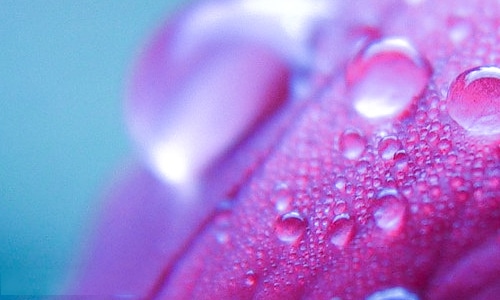 二月最后一天心情说说 二月最后一天心情说说