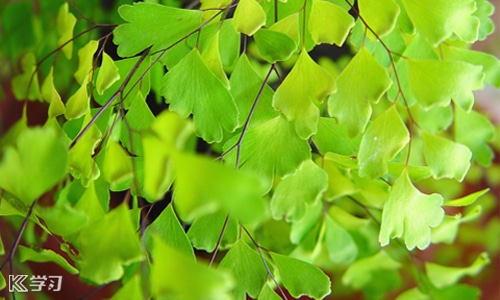 迎接三月份的朋友圈文案