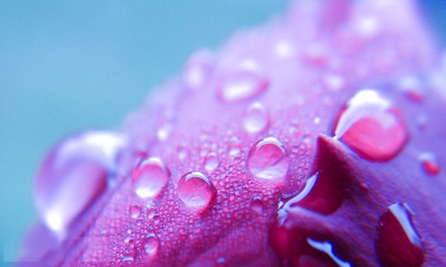 三月你好朋友圈早安心语