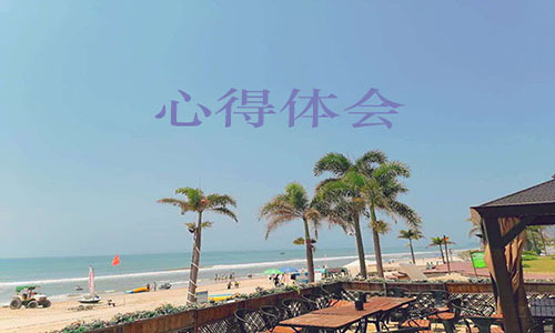 法制化优化营商环境心得体会