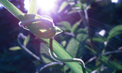 5月你好正能量励志文案句子