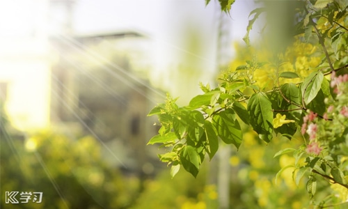 最新2020大学生入党思想汇报1500字左右