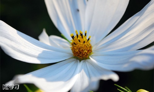 毕业感言说说句子文案