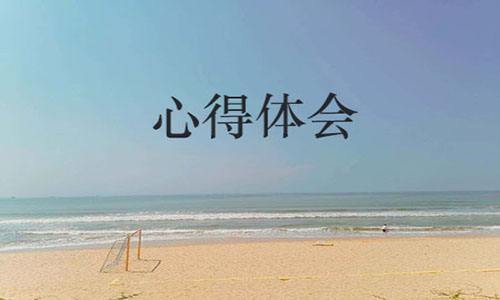 社会实践心得体会 社会实践心得体会