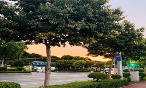 冬天朋友圈配图文案说说 冬天朋友圈配图文案说说