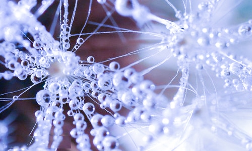 冬天第一场雪文案