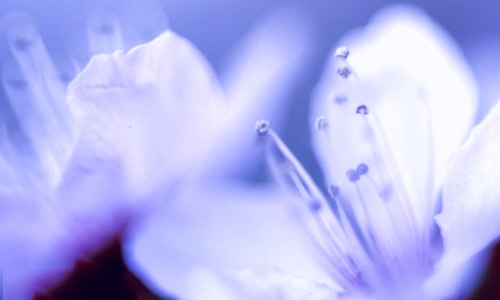 八月再见九月你好朋友圈文案 八月再见九月你好朋友圈文案