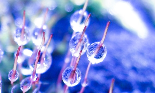 天气冷的心情说说短语 天气冷的心情说说短语