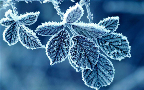 2022天气降温关心简短句子160句 2022天气降温关心简短句子