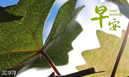 2022冬天早安说说简短唯美句子 2022冬天早安说说简短唯美句子