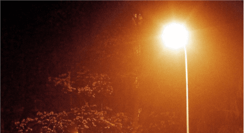 2022抖音朋友圈很火的语录200句