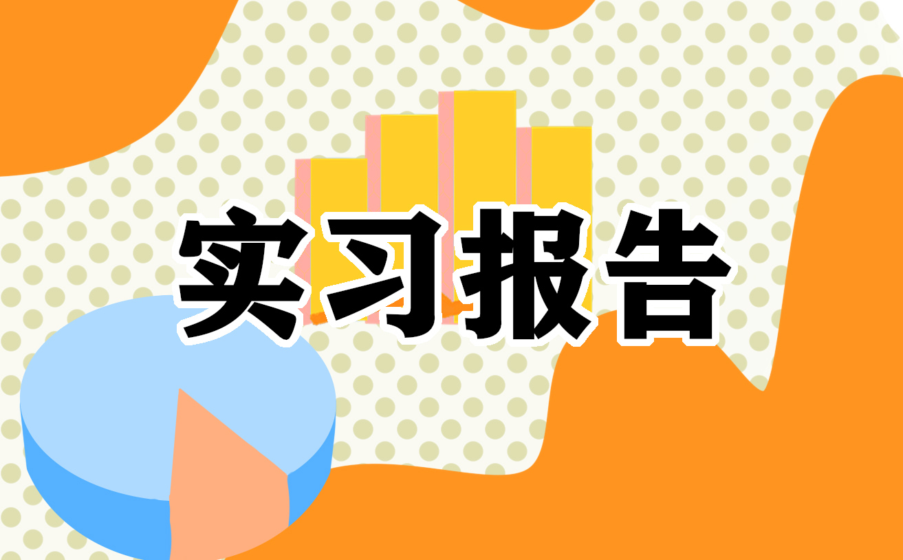计算机网络技术实习报告 计算机网络技术实习报告2023最新(10篇)