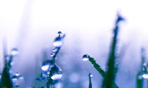 2022年最后一天的励志说说