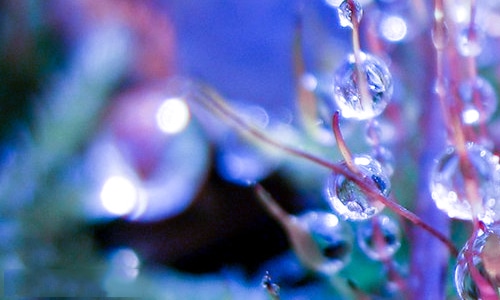 平安夜伤感说说大全125句